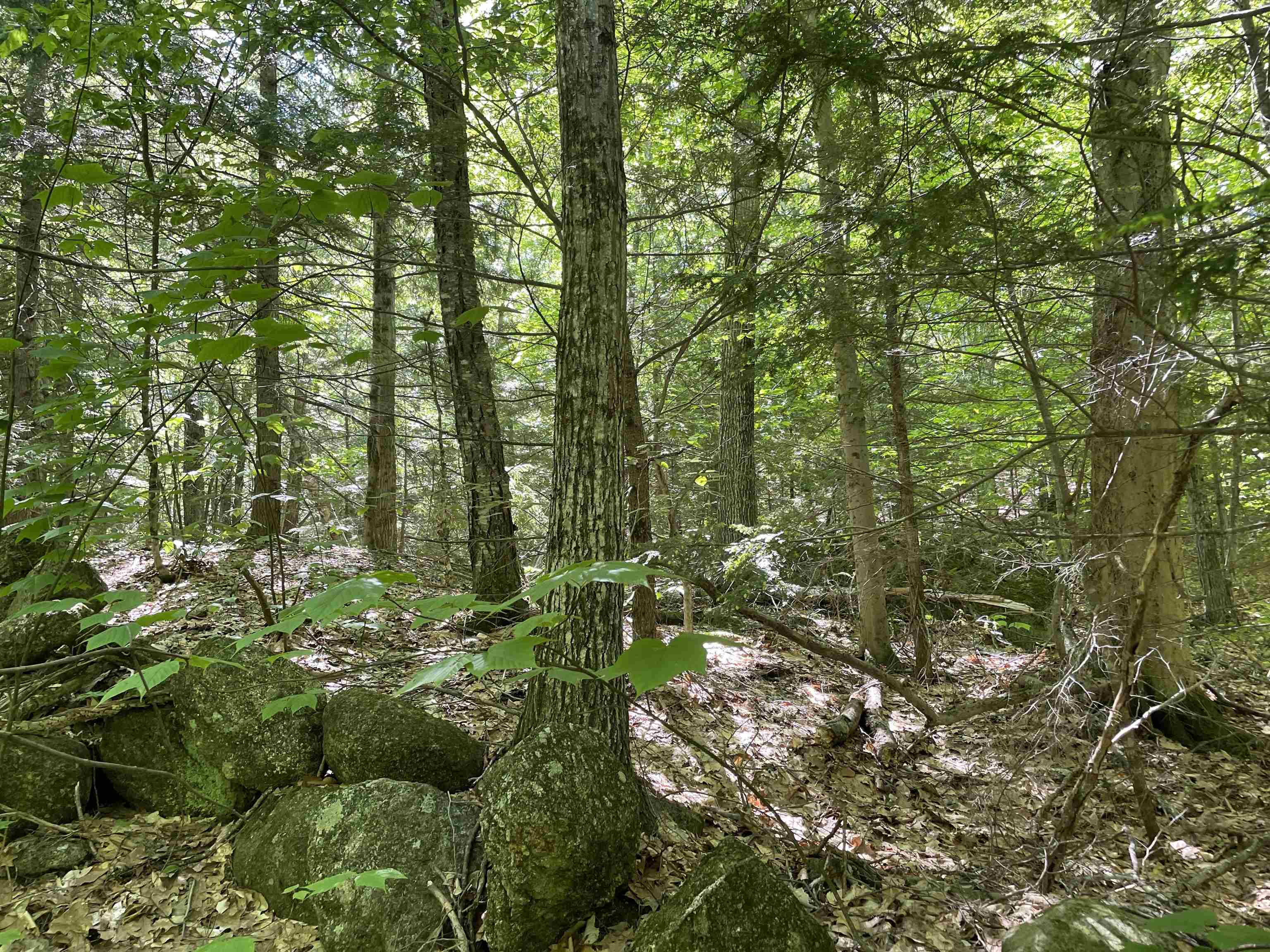 0 Alder Plains Road