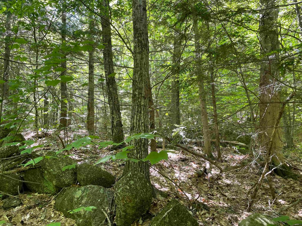 Photo of 0 Alder Plains Road, Bradford, NH 03221 (MLS # 5086576)