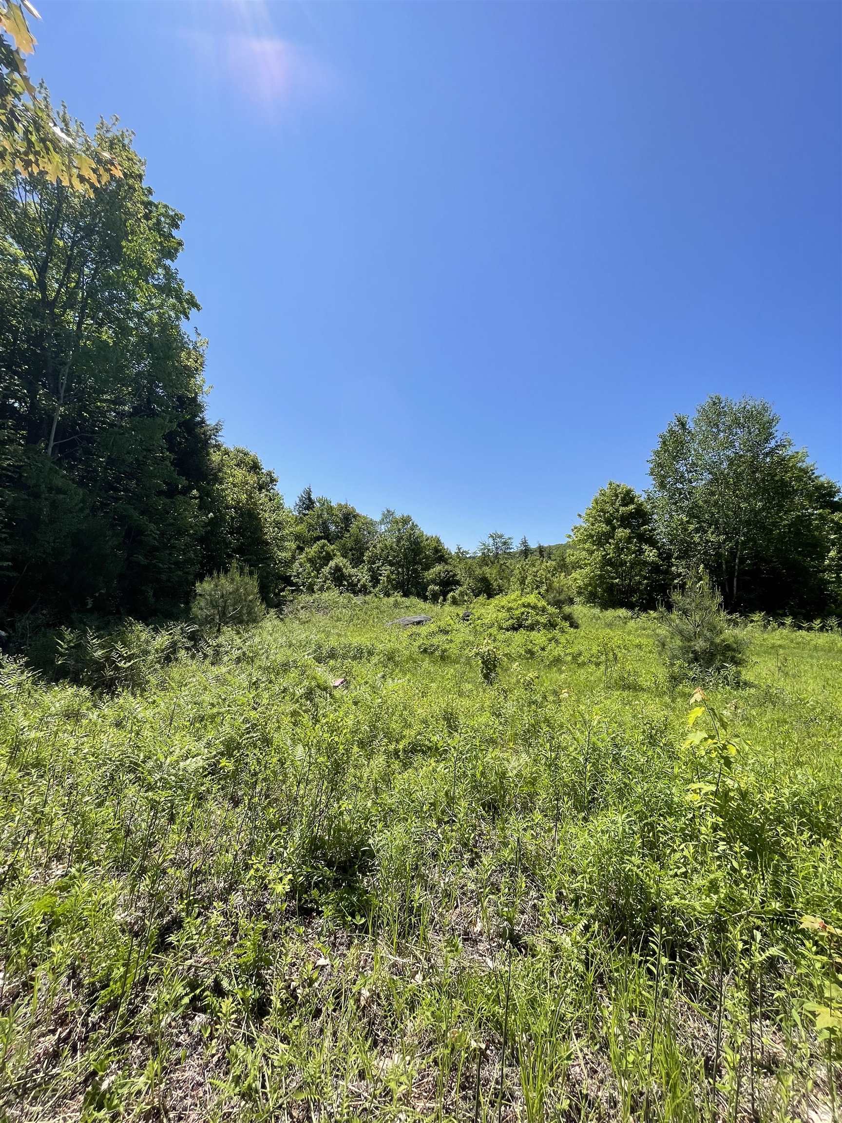 0 Alder Plains Road