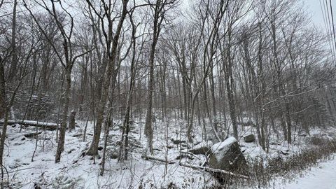 Bergrucken Lane 139 & 140 Readsboro VT 05350