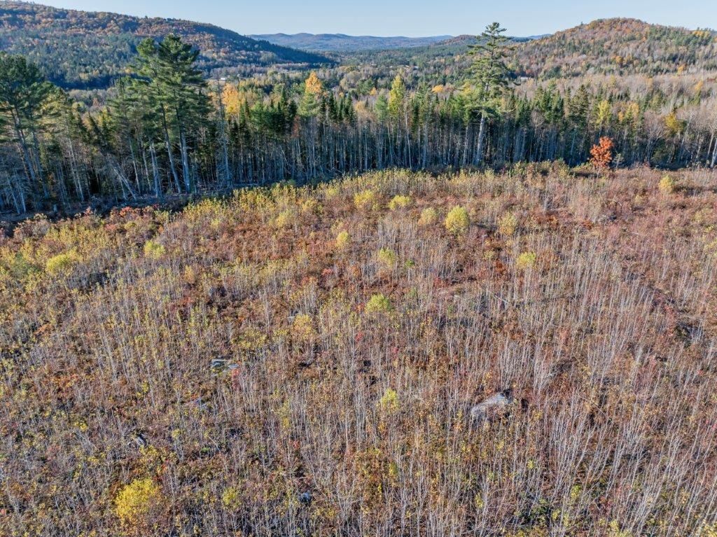 Photo of 3 McIntyre Road, Dalton, NH 03598 (MLS # 5022033)