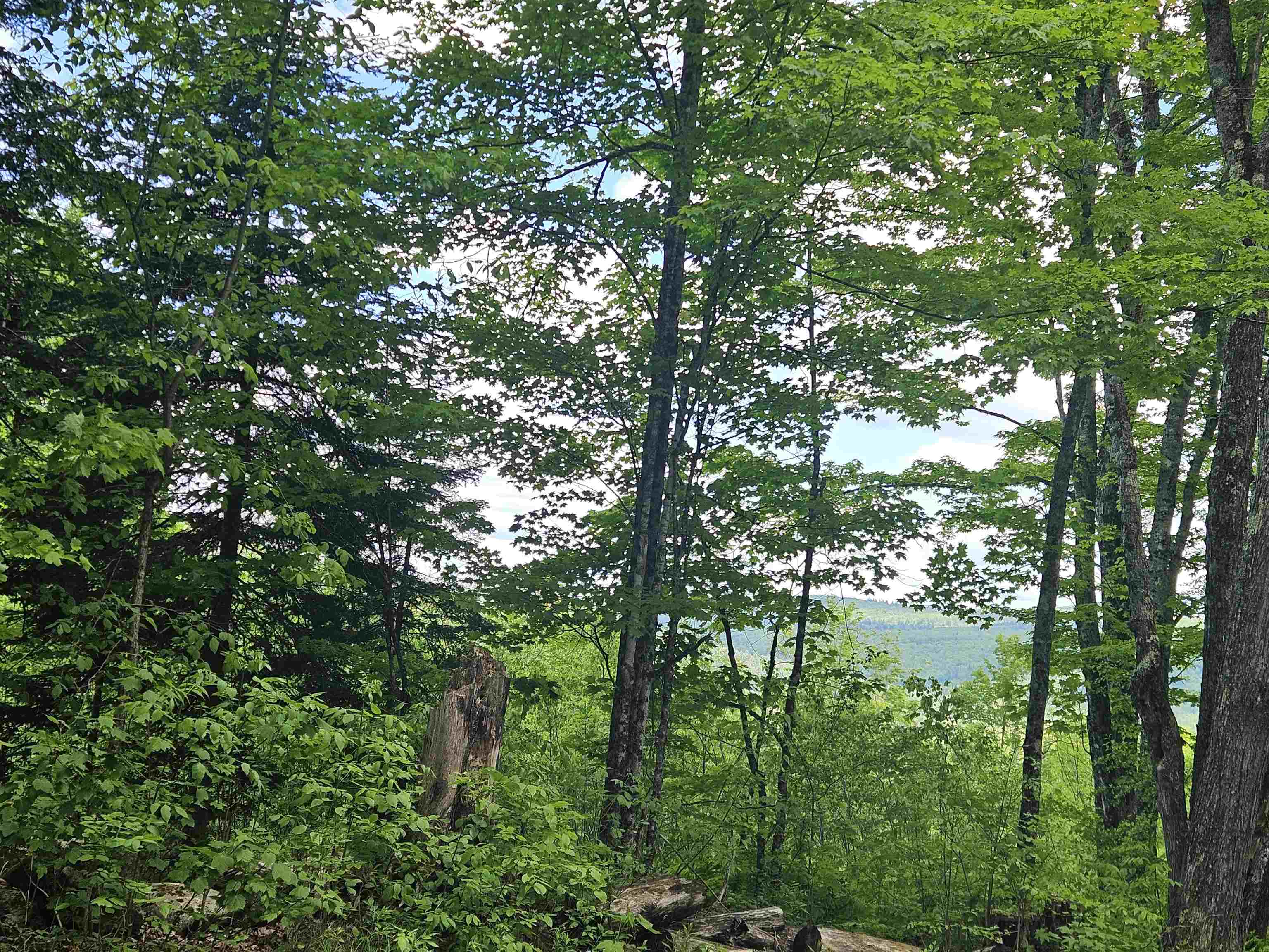 324 Crane Hill Road