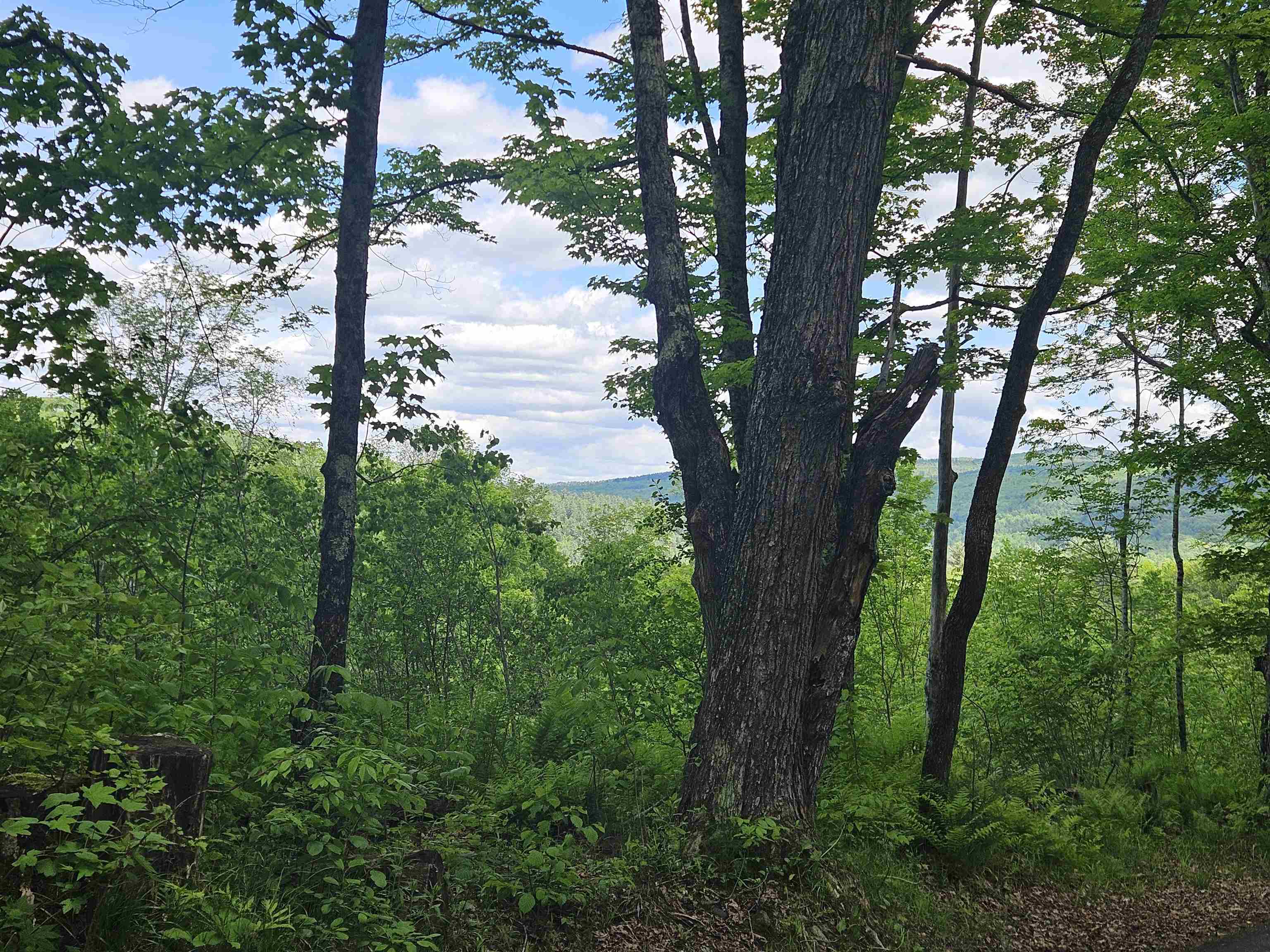 324 Crane Hill Road