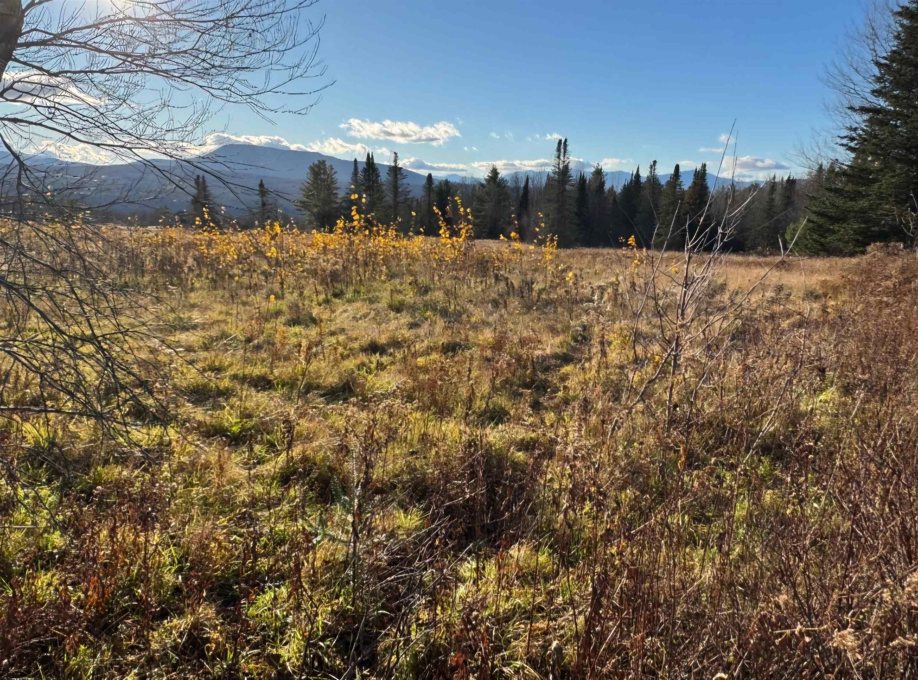 Wolcott, Vermont 05680, United States, ,Land,Pending,46205