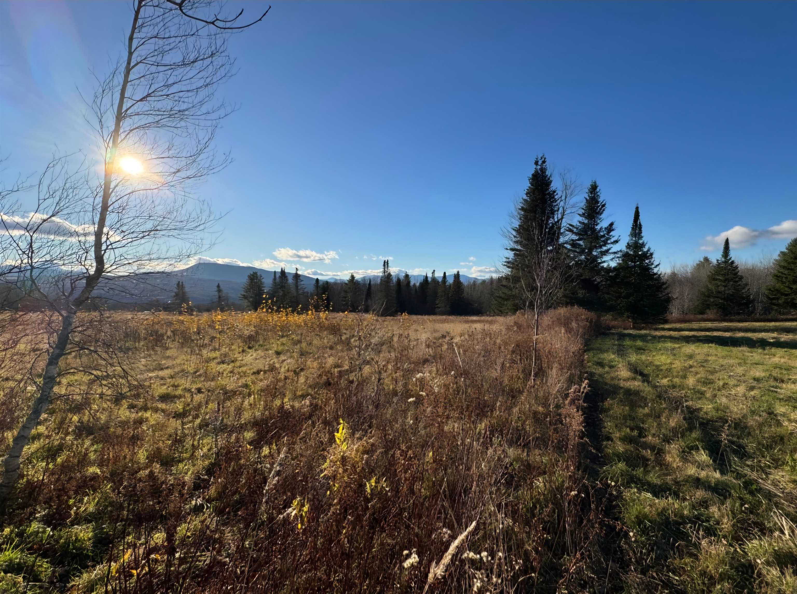 Wolcott, Vermont 05680, United States, ,Land,Pending,46205