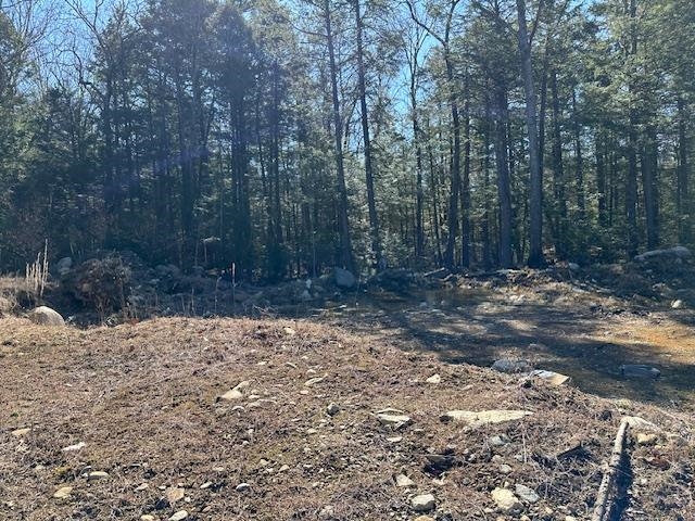 100 Francestown Turnpike