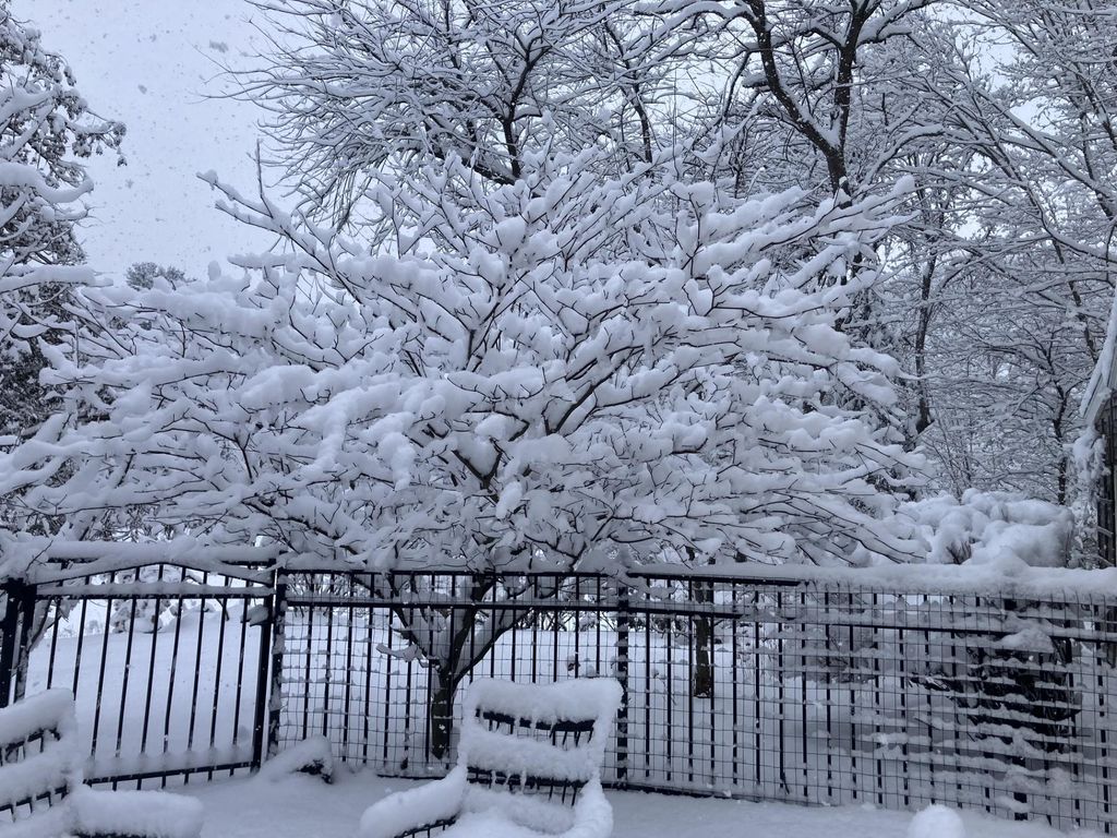 Photo of 85 College Road, Stratham, NH 03885 (MLS # 5045381)