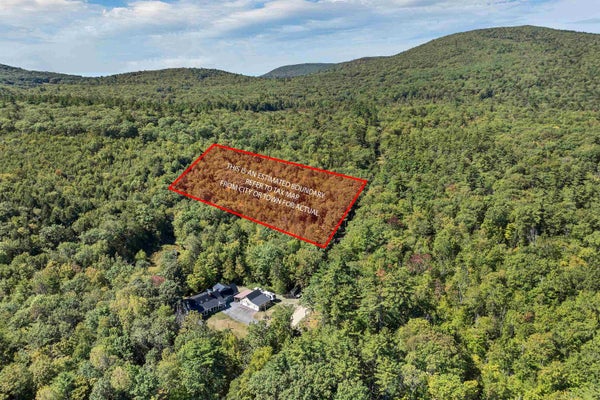 LOT 5-2-1 JESUS VALLEY RD, ALTON, NH 03810 - Image 61b455027a3fabd3caf8b2611a923607/2394404256