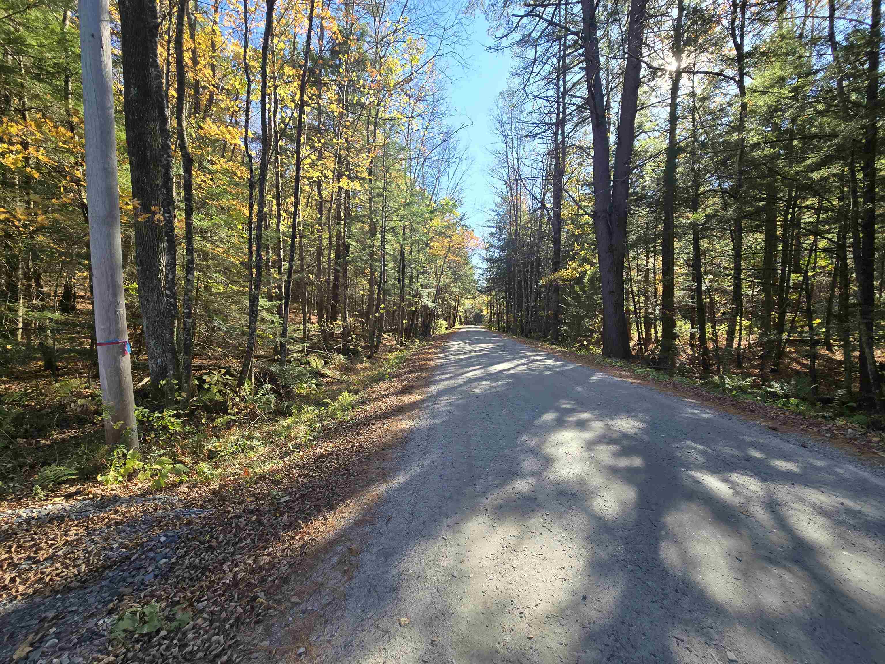 00 Tandy Brook Road 12