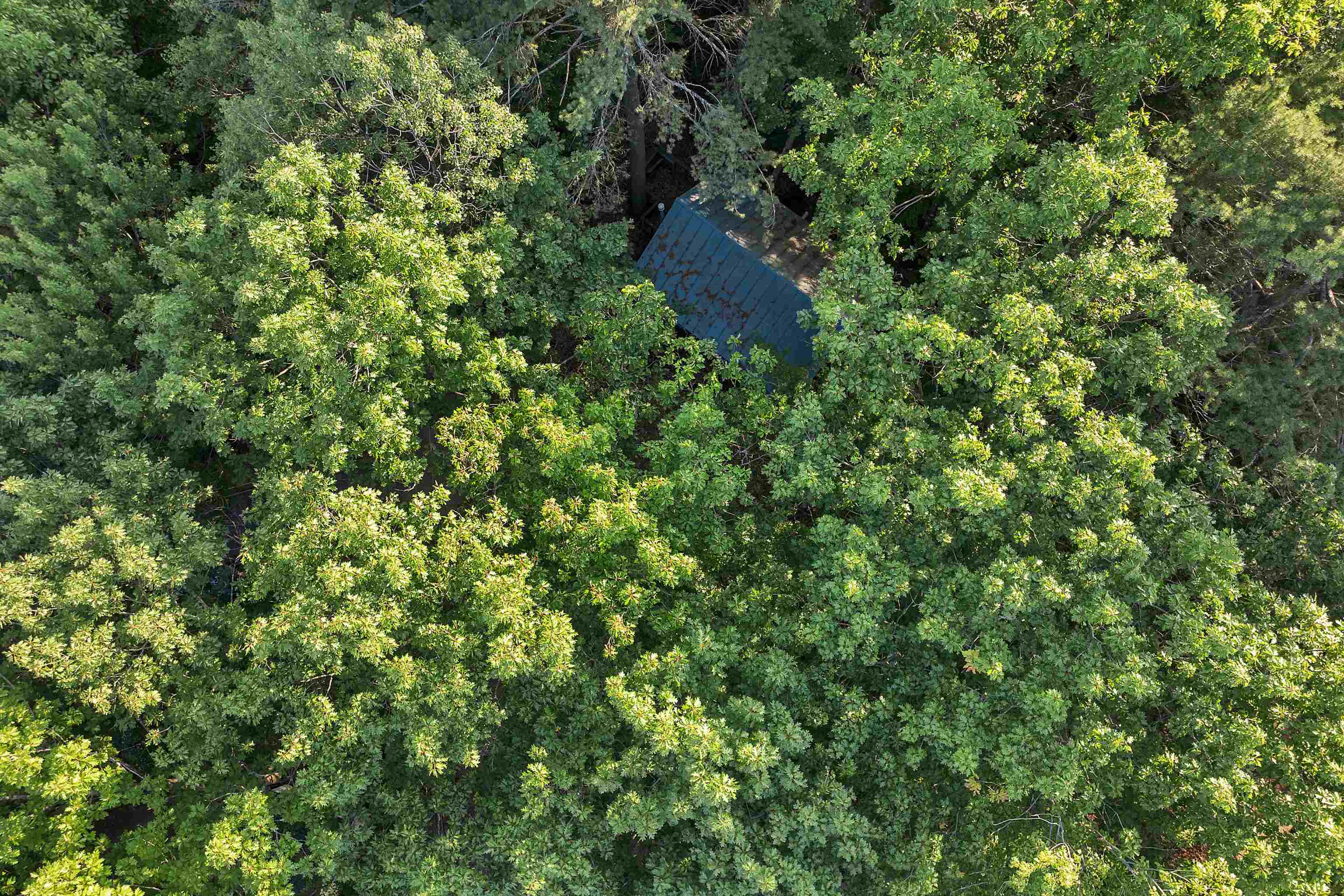 19 Sherwood Forest Drive