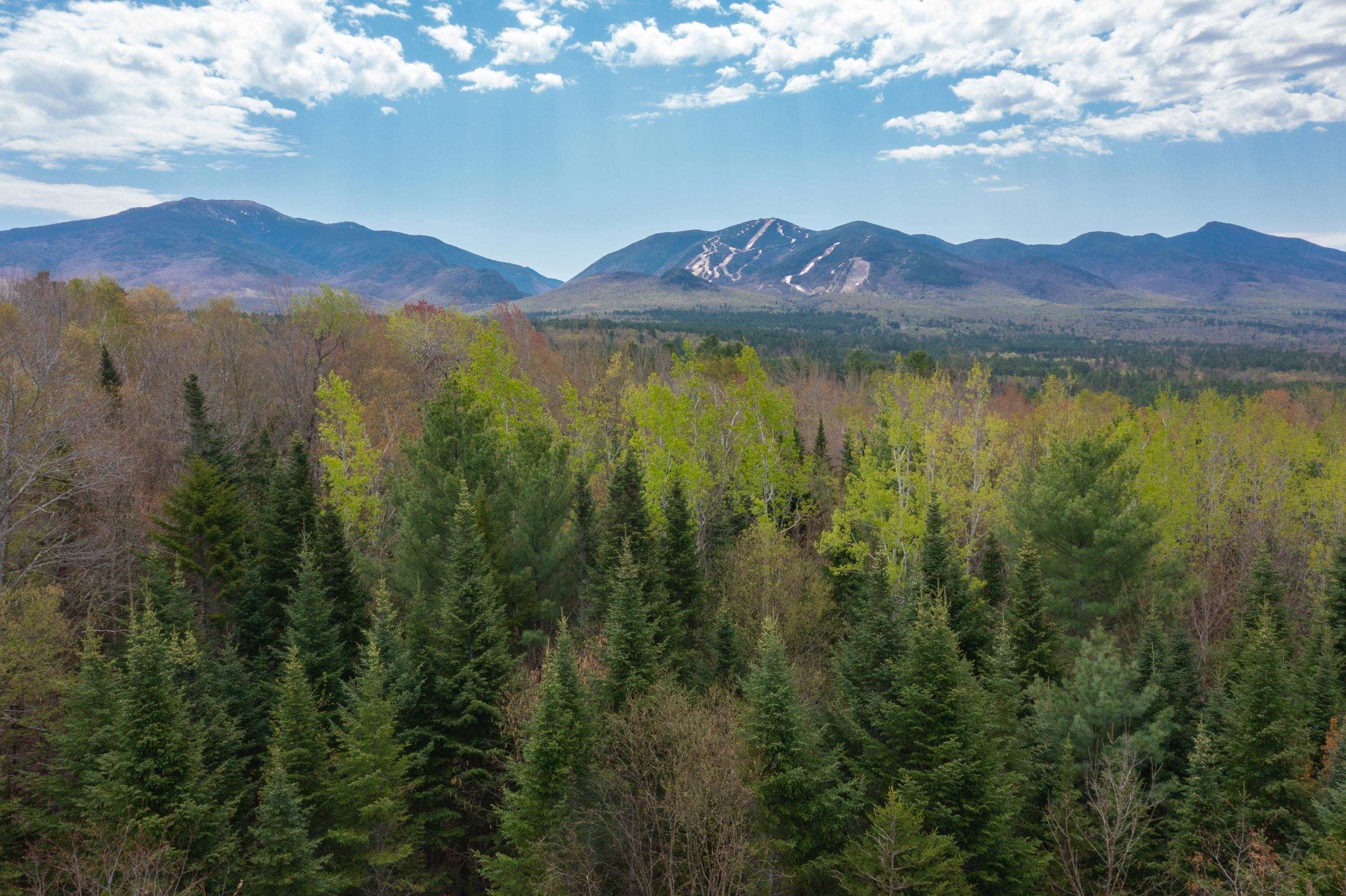 Map 8 Lot 22 Indian Pipe Road