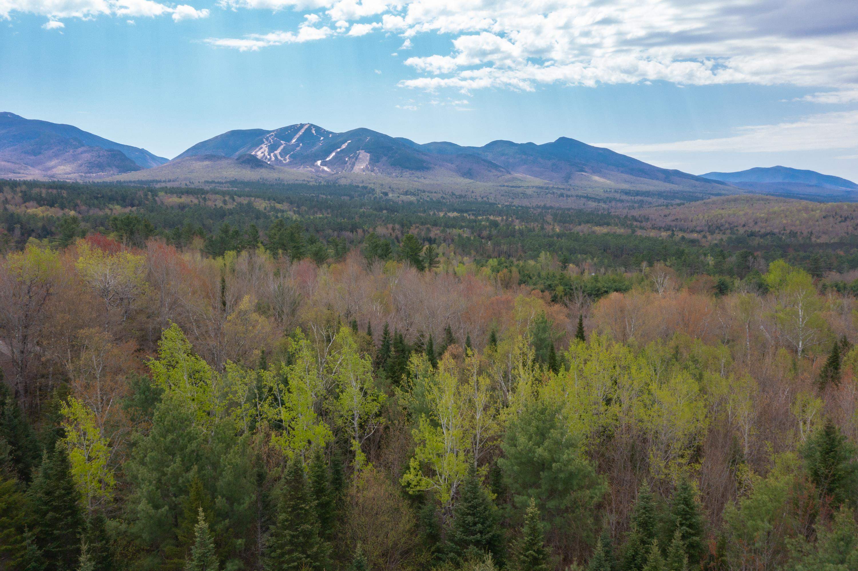 Map 8 Lot 22 Indian Pipe Road