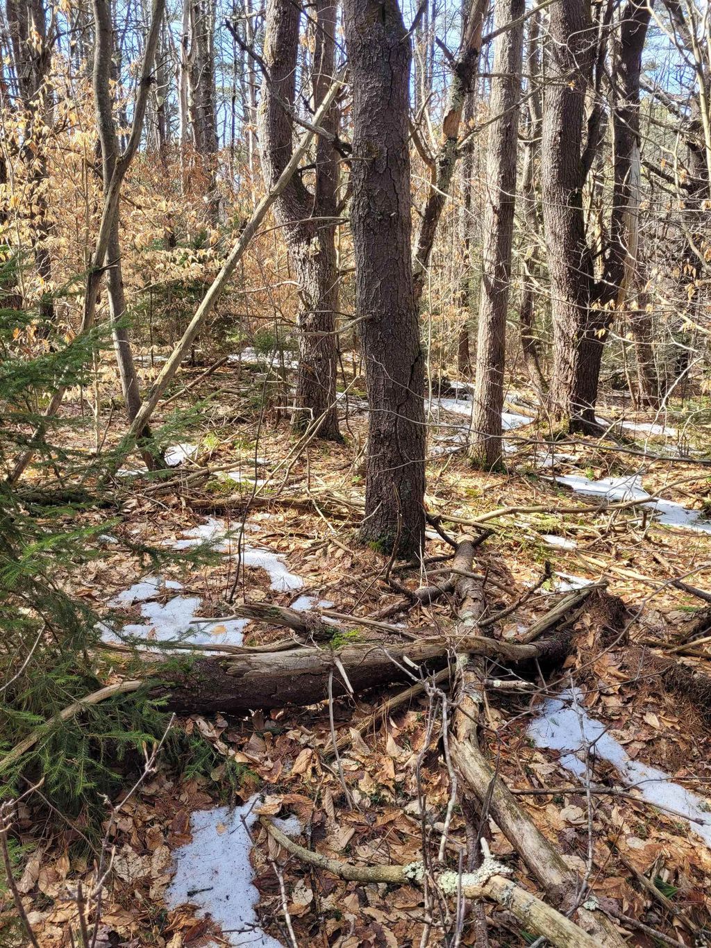 Photo of 00 Rt 9, Sullivan, NH 03445 (MLS # 5080753)