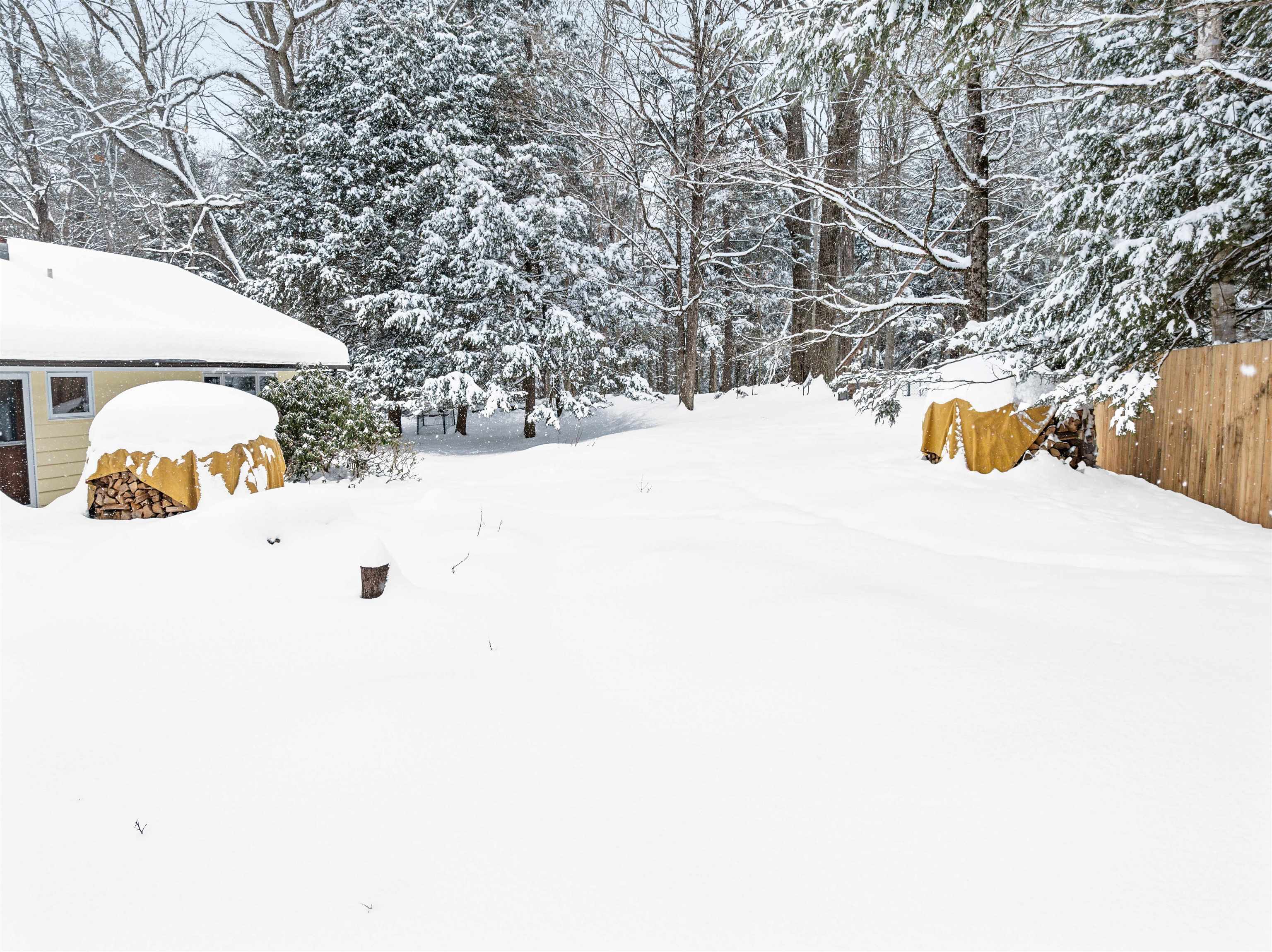 25 Hubbard Park Drive