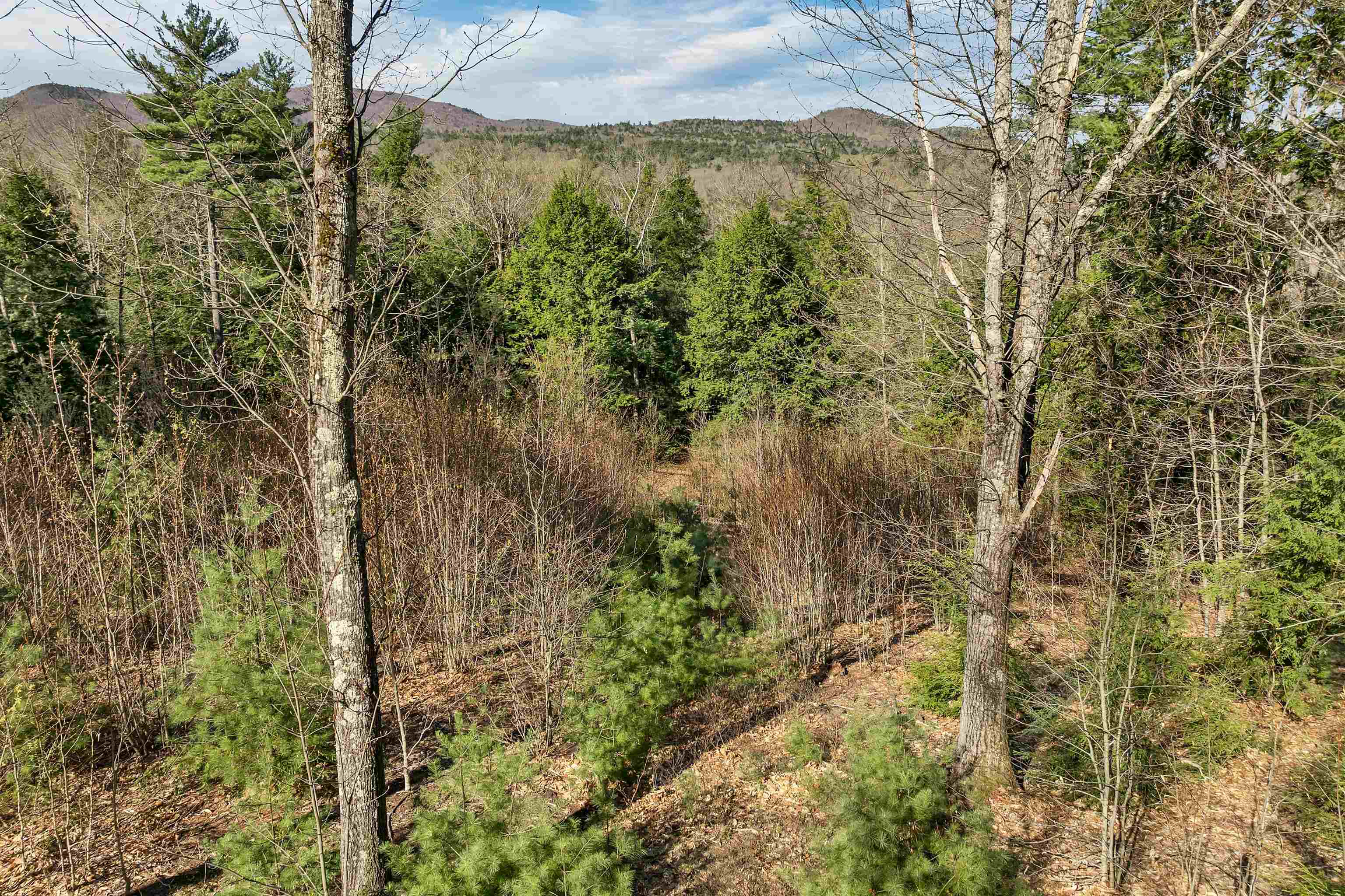 00 Pinnacle Ridge Road