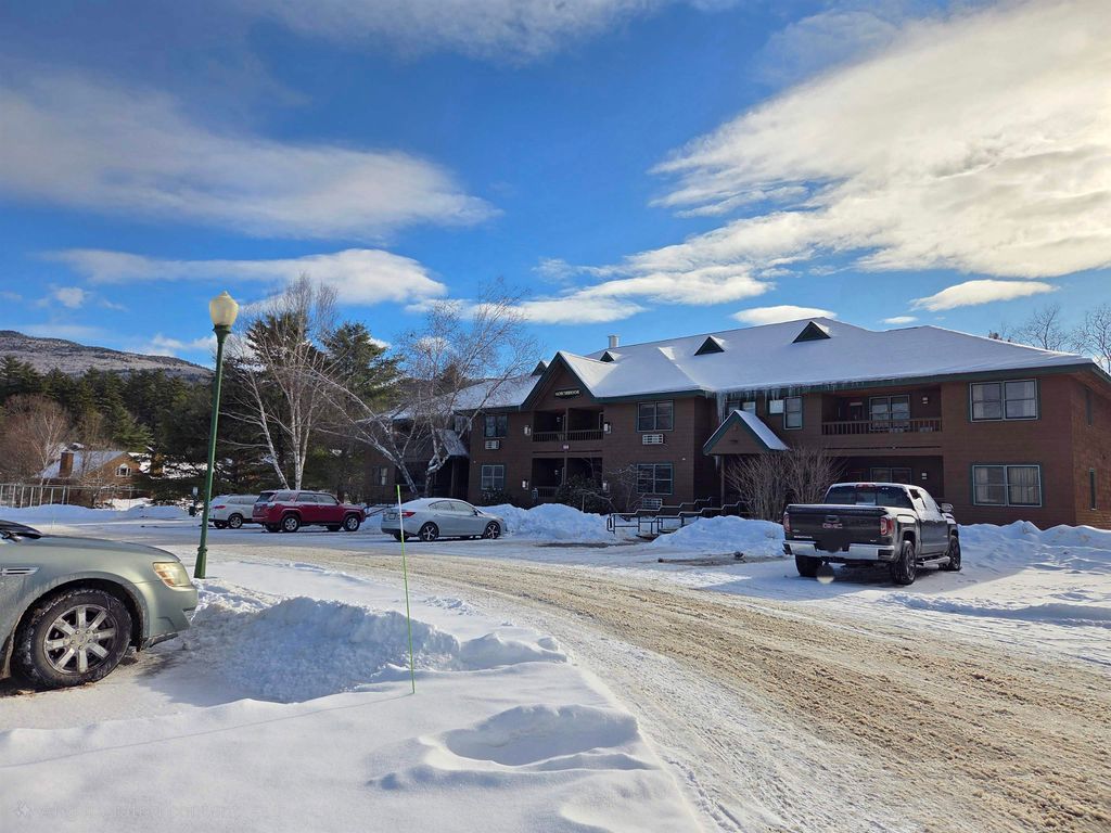 Photo of 164 Deer Park Drive #160D, Woodstock, NH 03262 (MLS # 5069686)