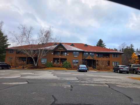 Photo of 164 Deer Park Drive #160D, Woodstock, NH 03262 (MLS # 5069686)