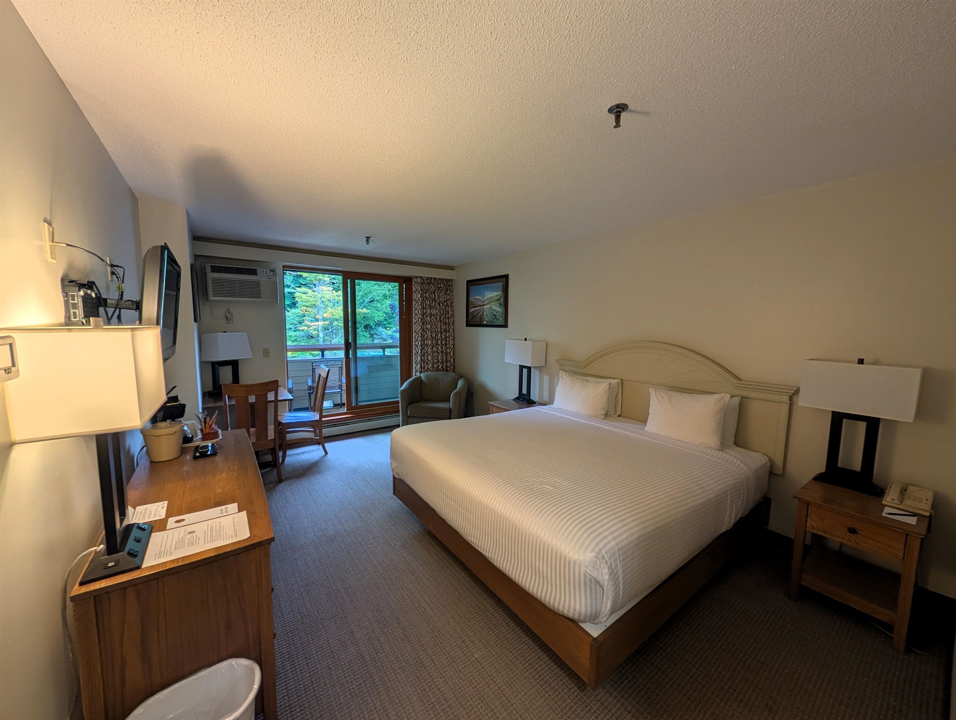 90 Loon Mountain Road 1149C