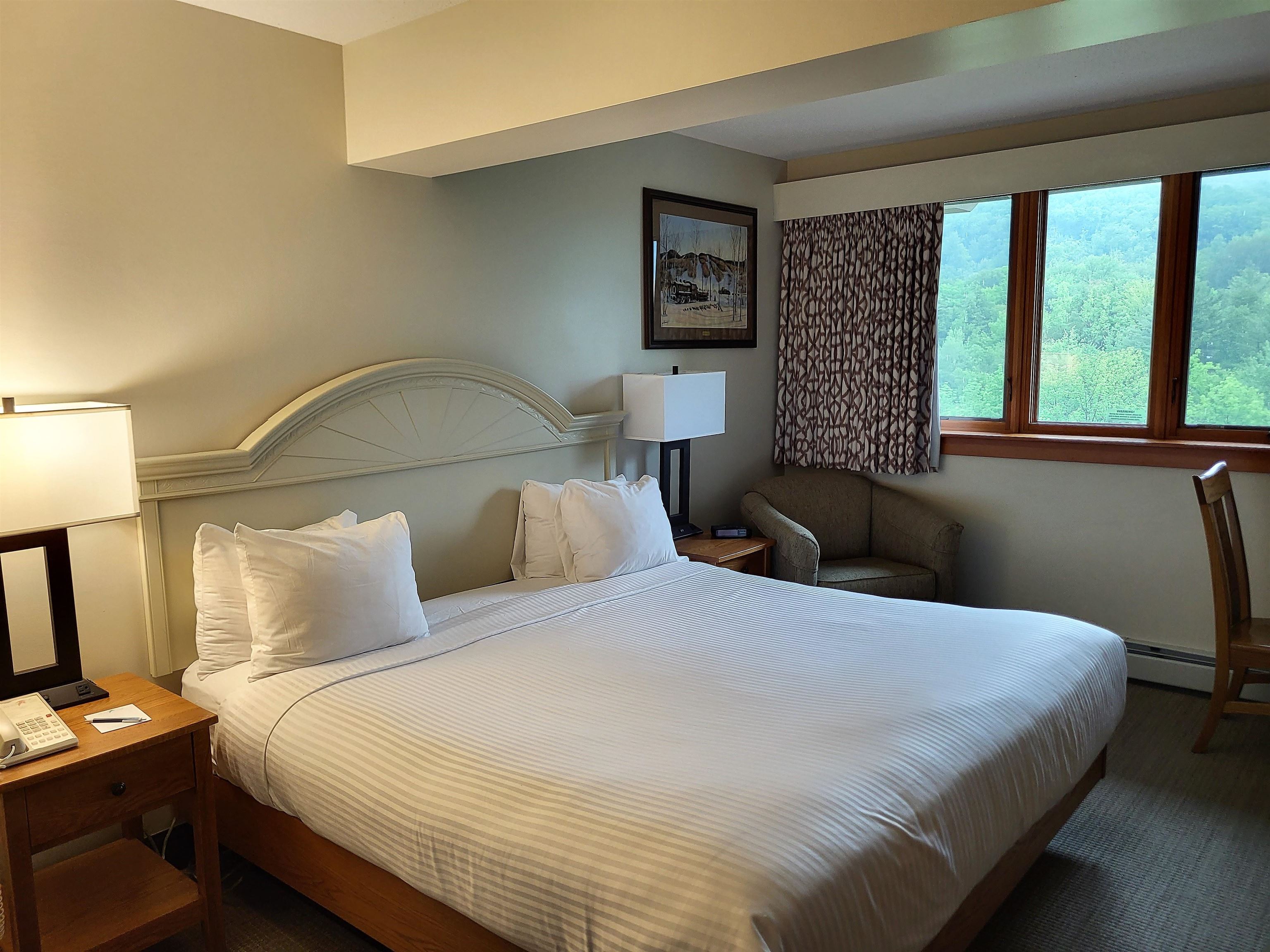 90 Loon Mountain Road 1149C