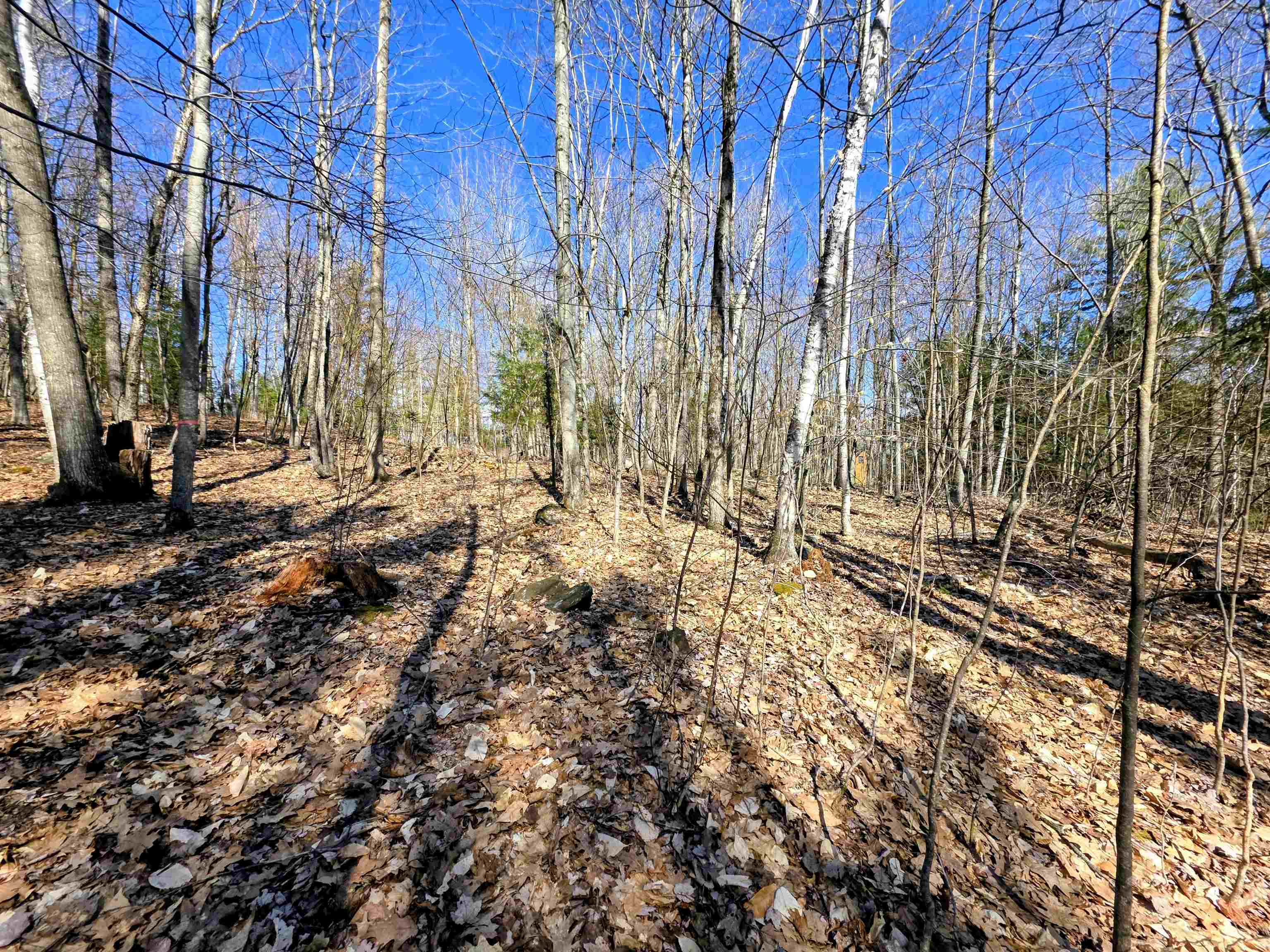 0000 Wildcat Drive 94