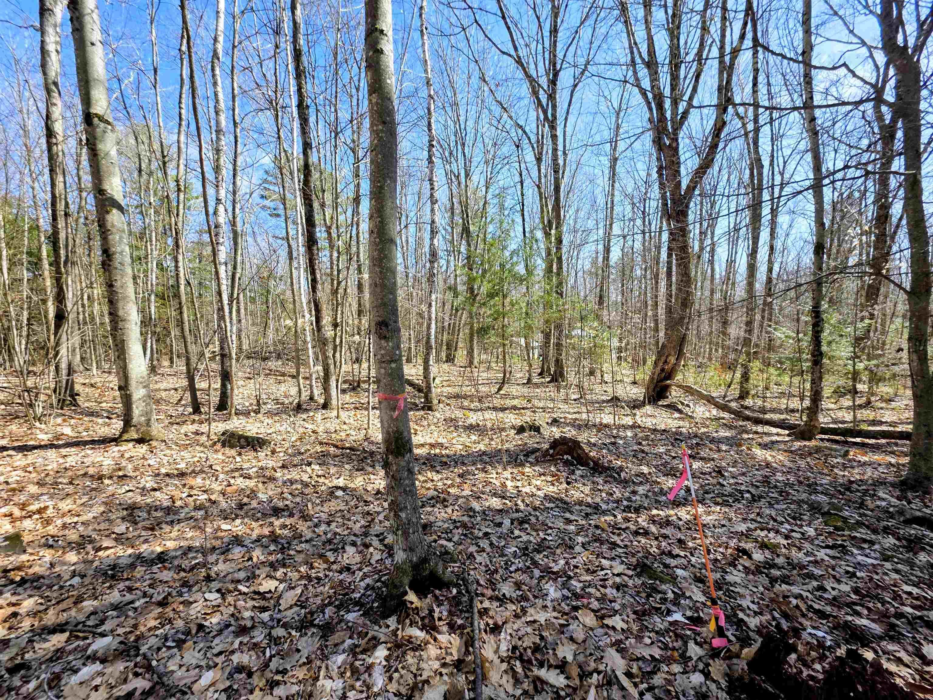 0000 Wildcat Drive 94