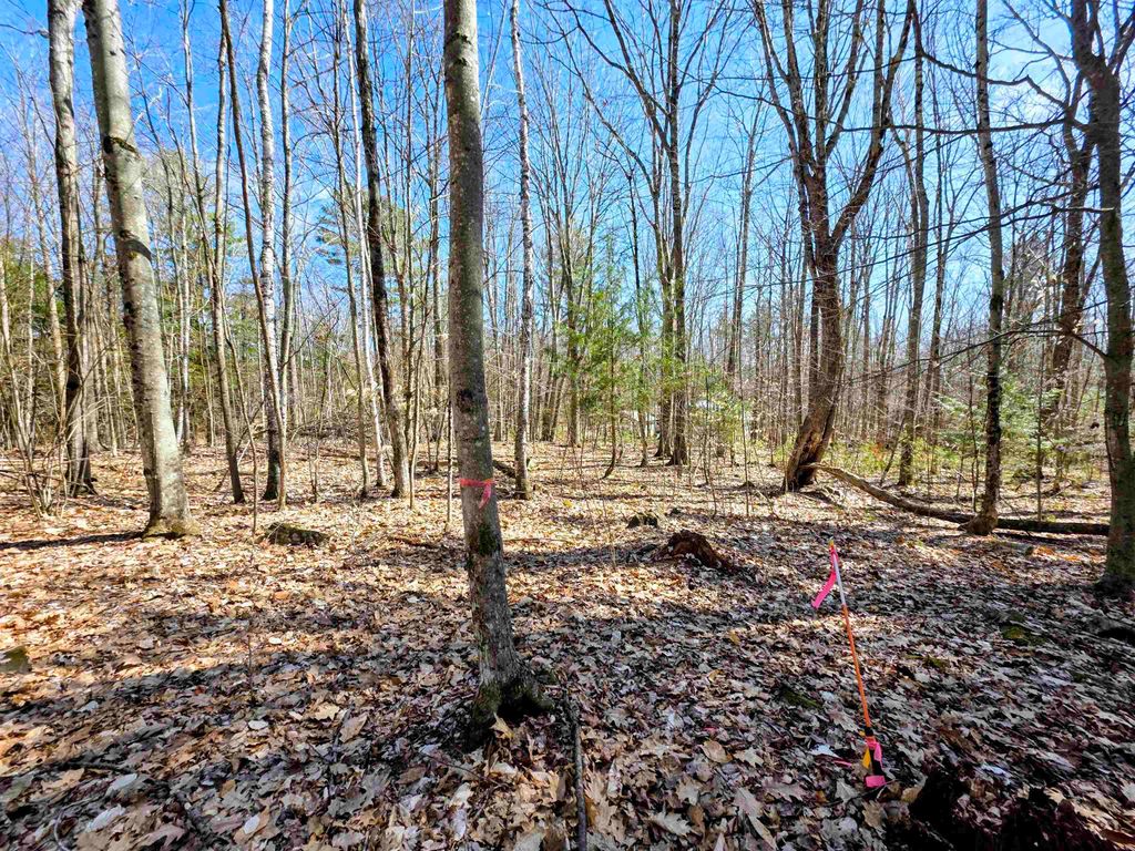 Photo of 0000 Wildcat Drive #94, Haverhill, NH 03765 (MLS # 5084203)