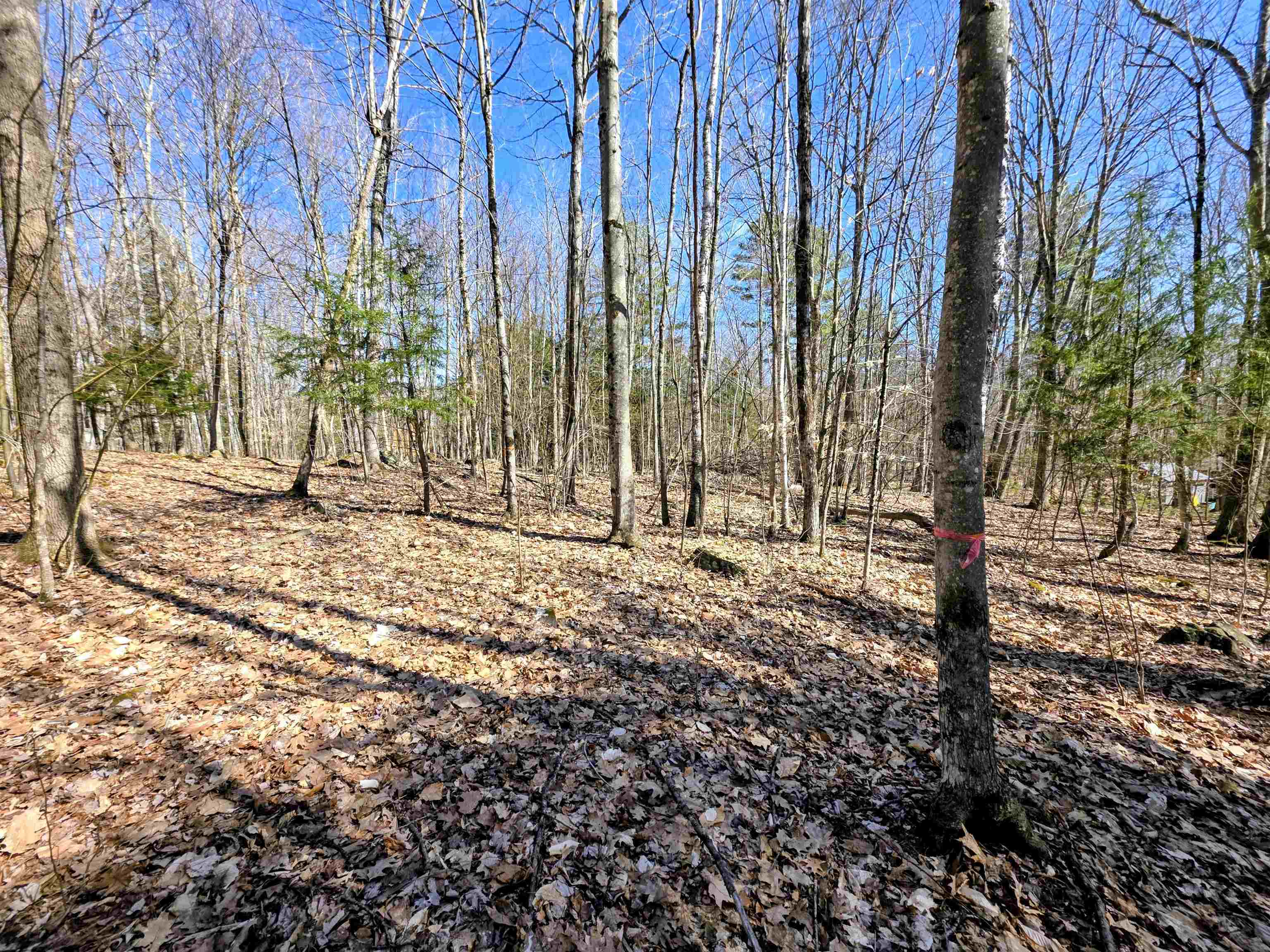 0000 Wildcat Drive 94