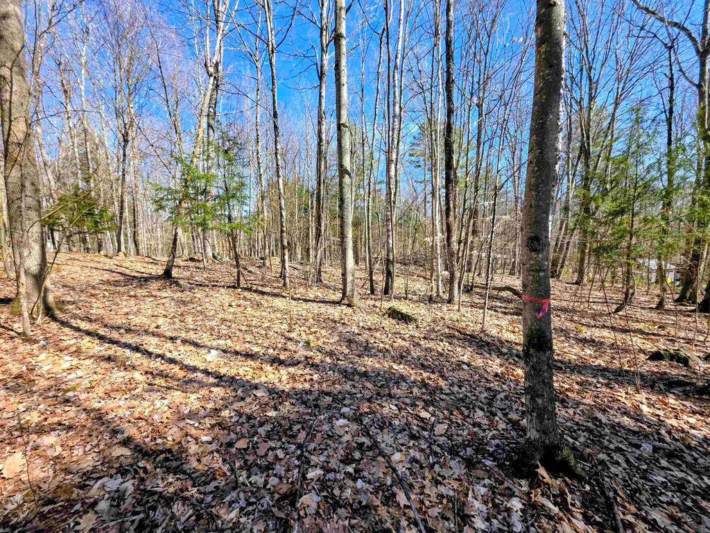 Photo of 0000 Wildcat Drive #94, Haverhill, NH 03765 (MLS # 5084203)