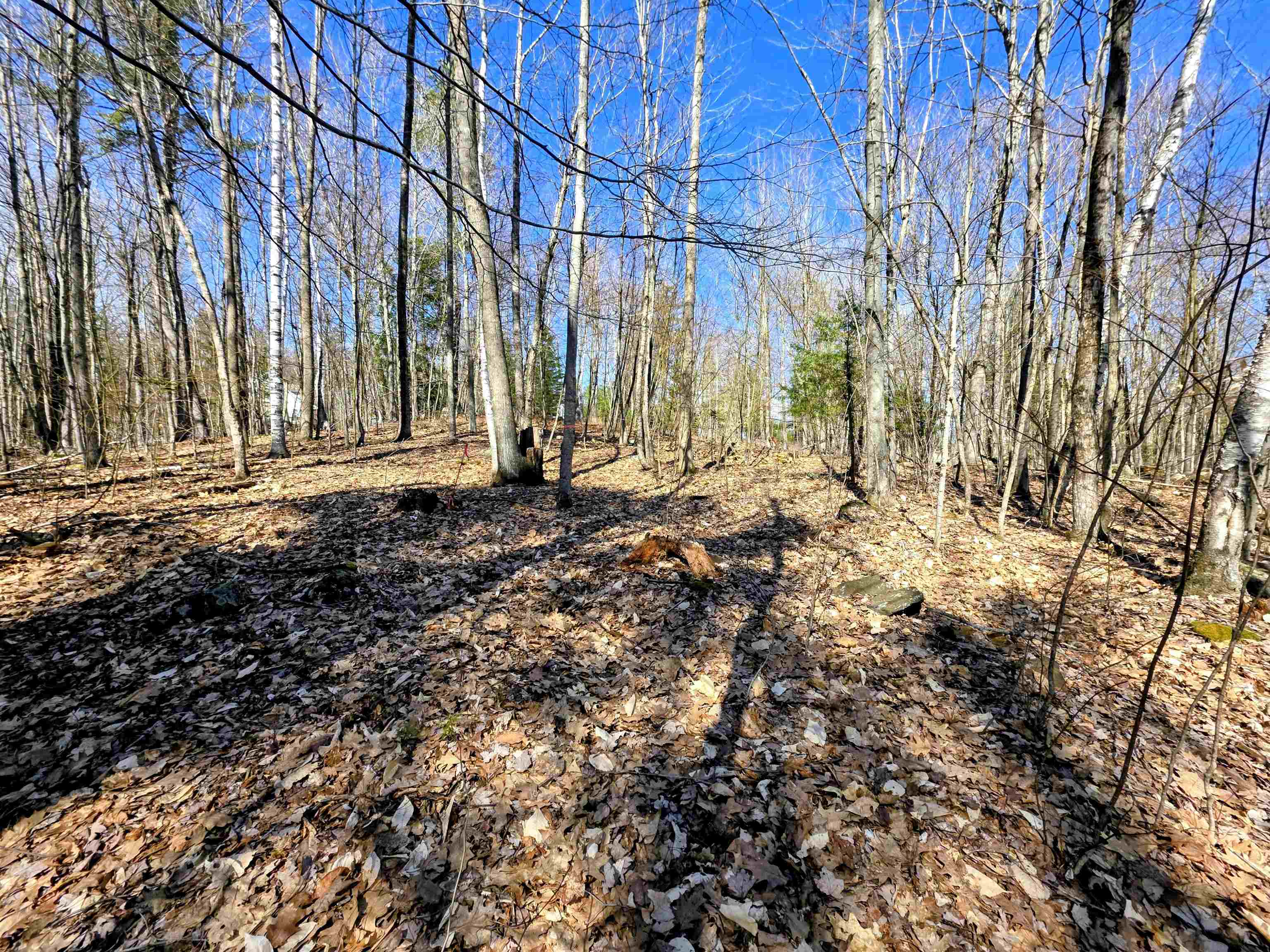 0000 Wildcat Drive 94