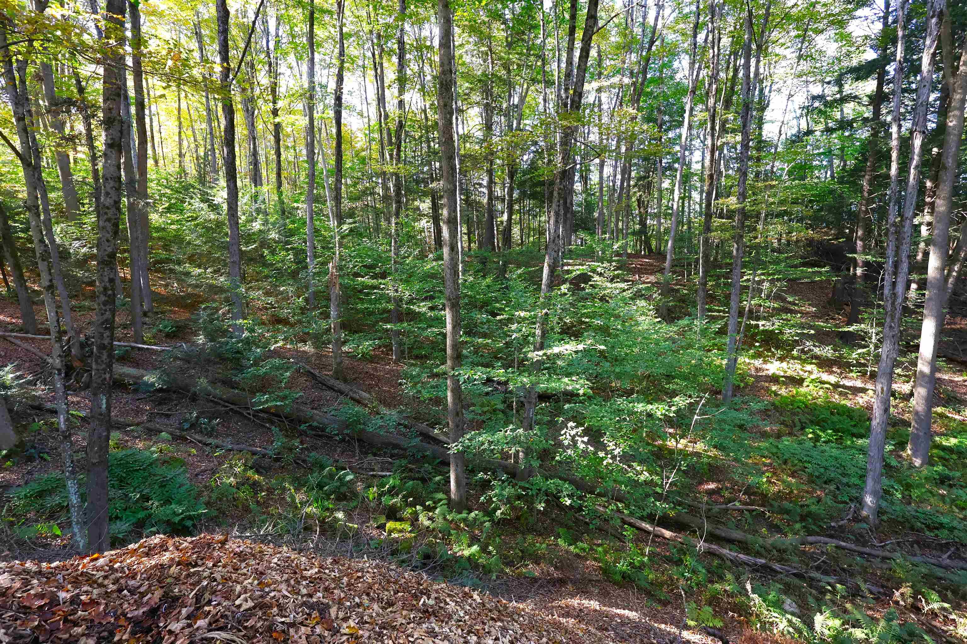 0 Woodlawn Drive 2 & 3