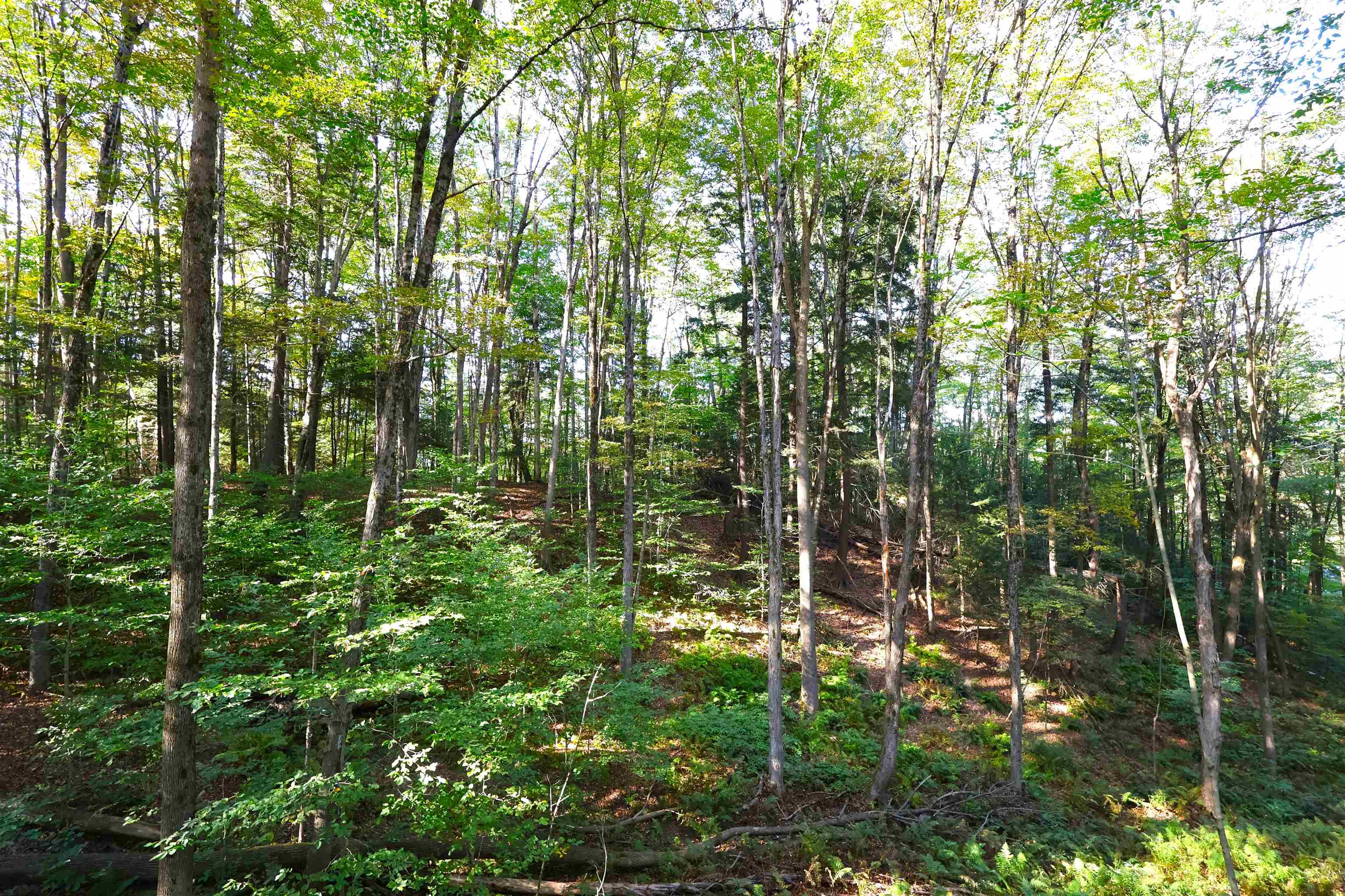 0 Woodlawn Drive 2 & 3