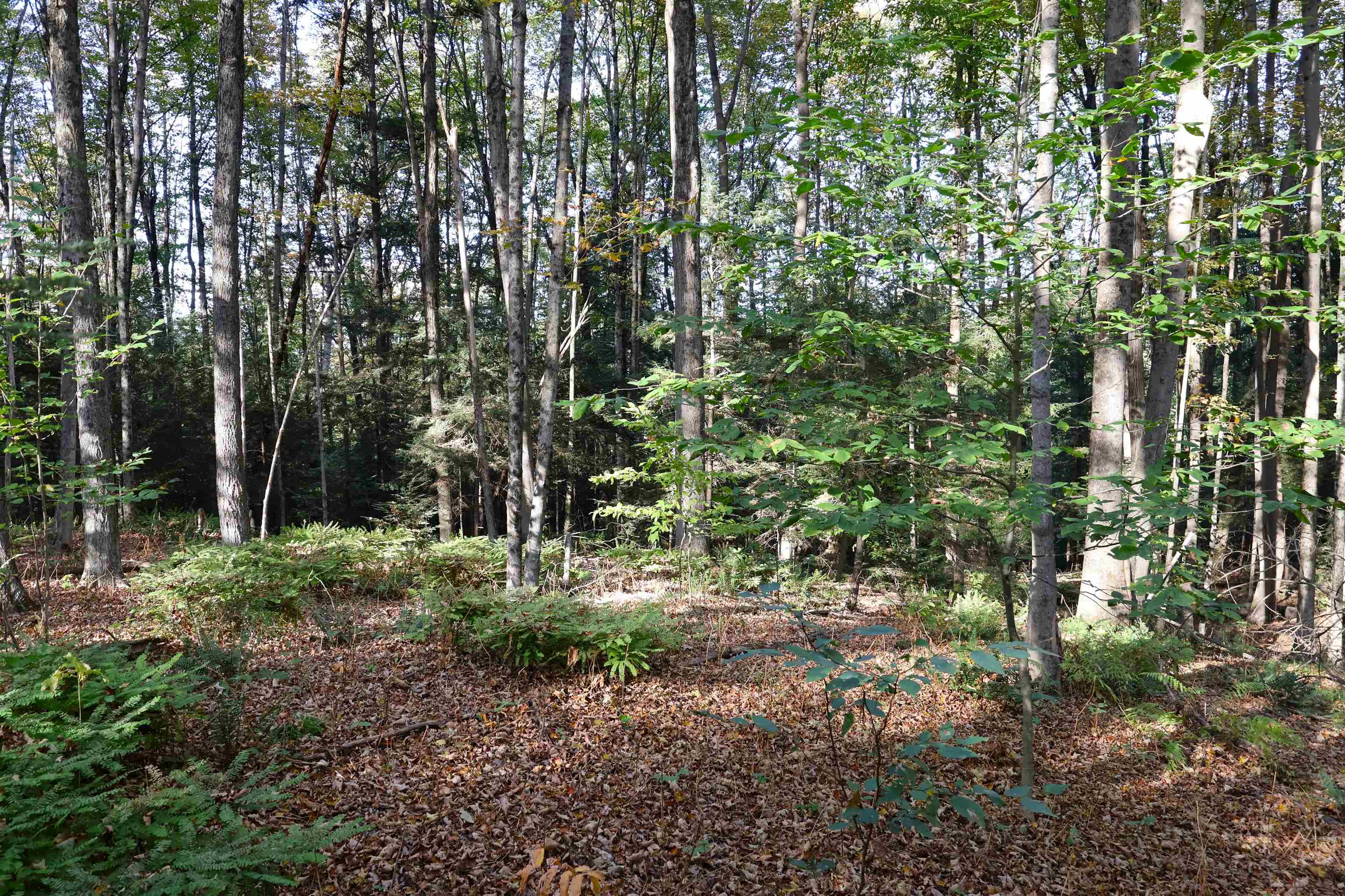 0 Woodlawn Drive 2 & 3