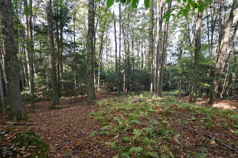 0 Woodlawn Drive 2 & 3 Hartford VT 05001