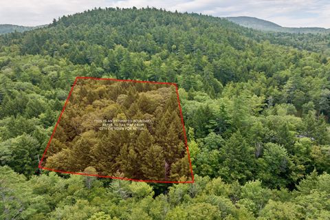 Lot 12-24 Newmarket Road Lot 12-24 Warner NH 03278