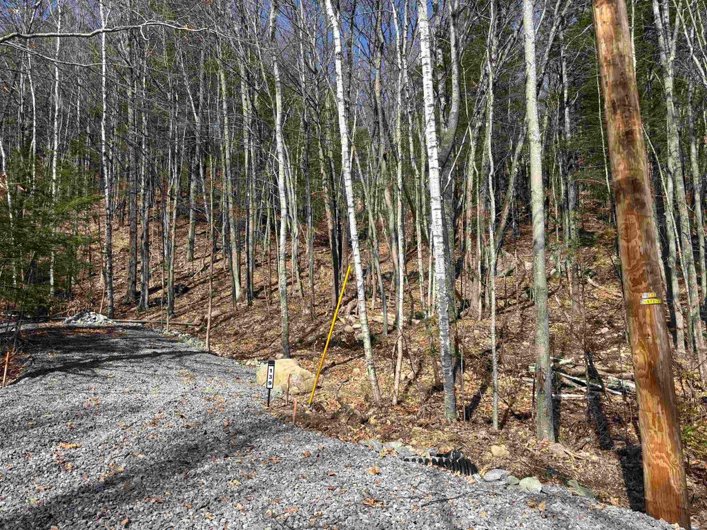 Photo of 139 Tate Road, Gilford, NH 03249 (MLS # 5081812)