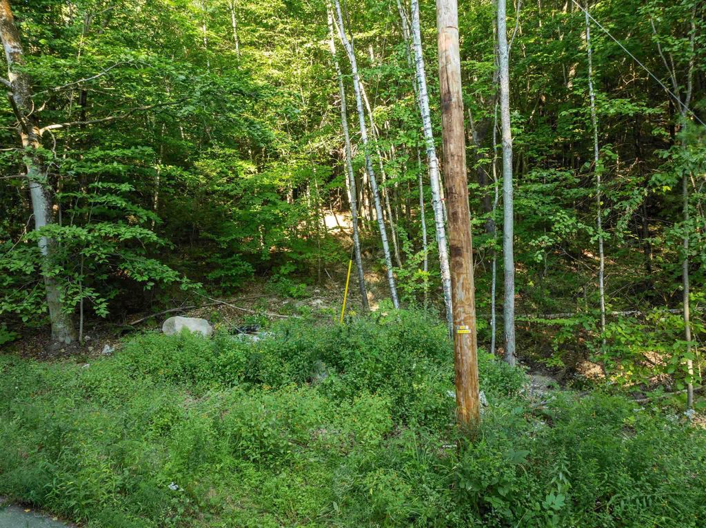 Photo of 139 Tate Road, Gilford, NH 03249 (MLS # 5081812)