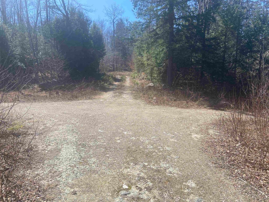 Photo of 0 Teela Drive, Sullivan, NH 03445 (MLS # 5037010)