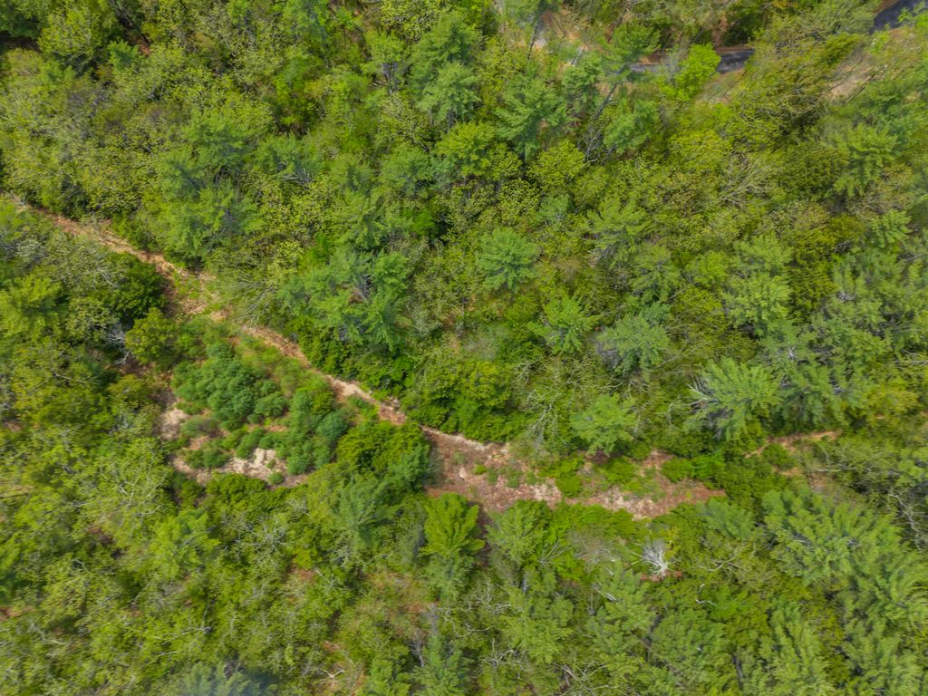 Photo of 14 Pine Point Road #14, New Durham, NH 03855 (MLS # 5089742)