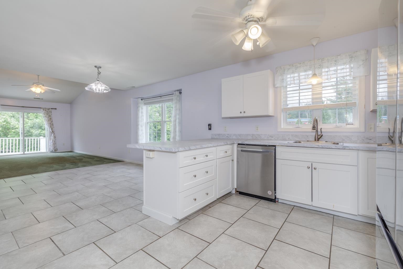 491 Mammoth Road 7