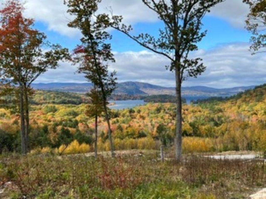 Photo of 207 Overlook Drive #217-133-1, Bristol, NH 03222 (MLS # 5089856)