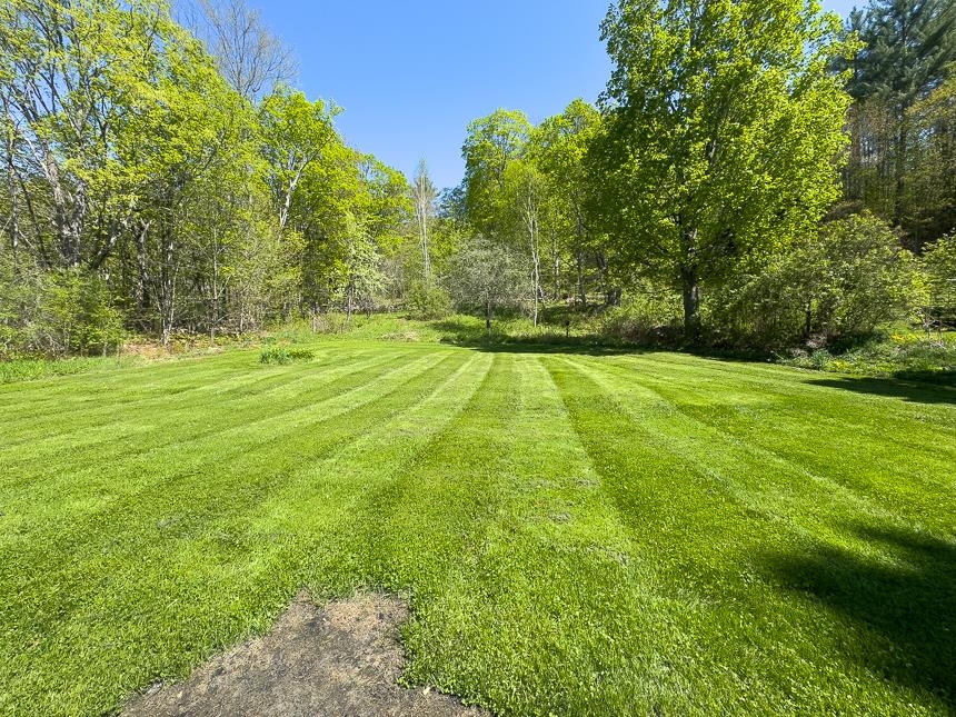 1408 Scott Highway