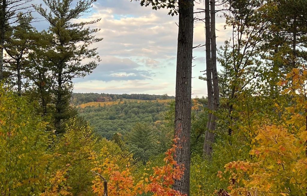 Photo of 17 Todd Road, Francestown, NH 03043 (MLS # 5081385)