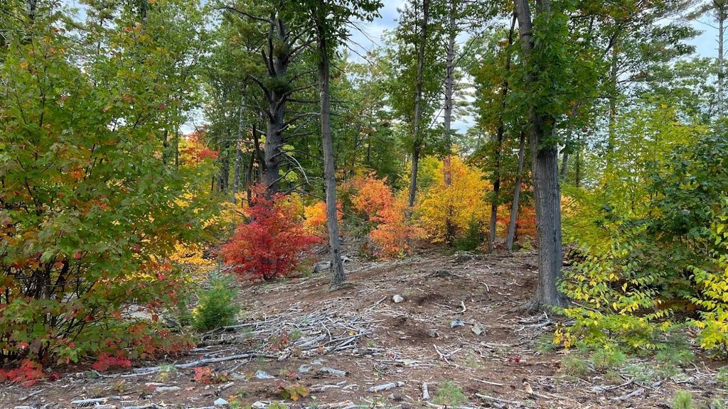 Photo of 17 Todd Road, Francestown, NH 03043 (MLS # 5081385)