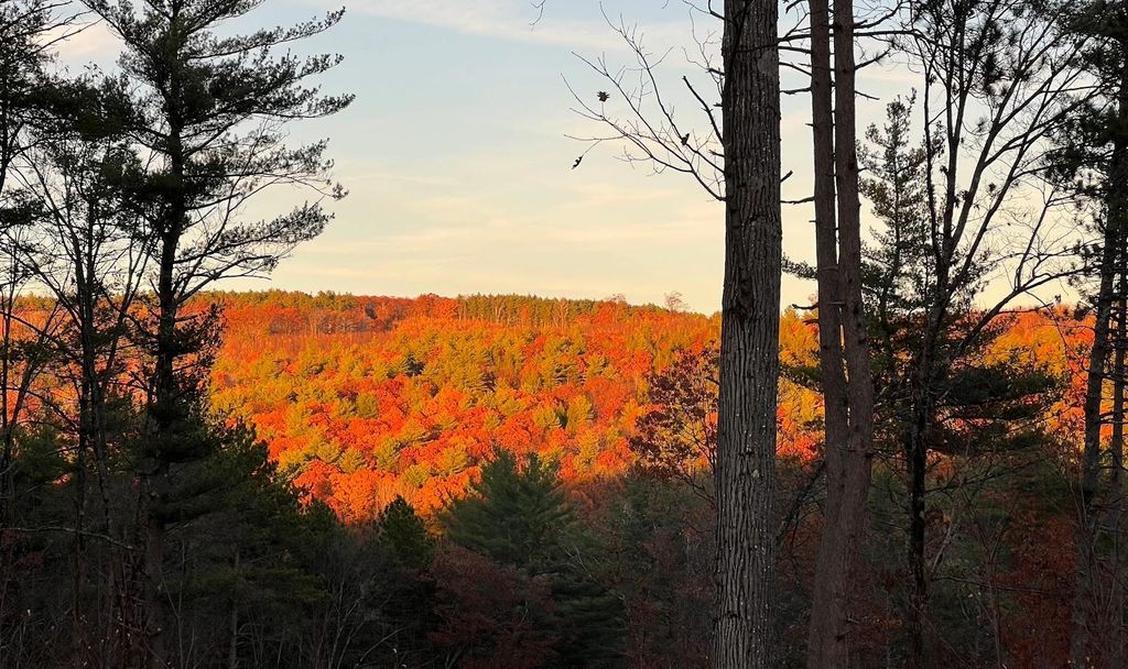 Photo of 17 Todd Road, Francestown, NH 03043 (MLS # 5081385)