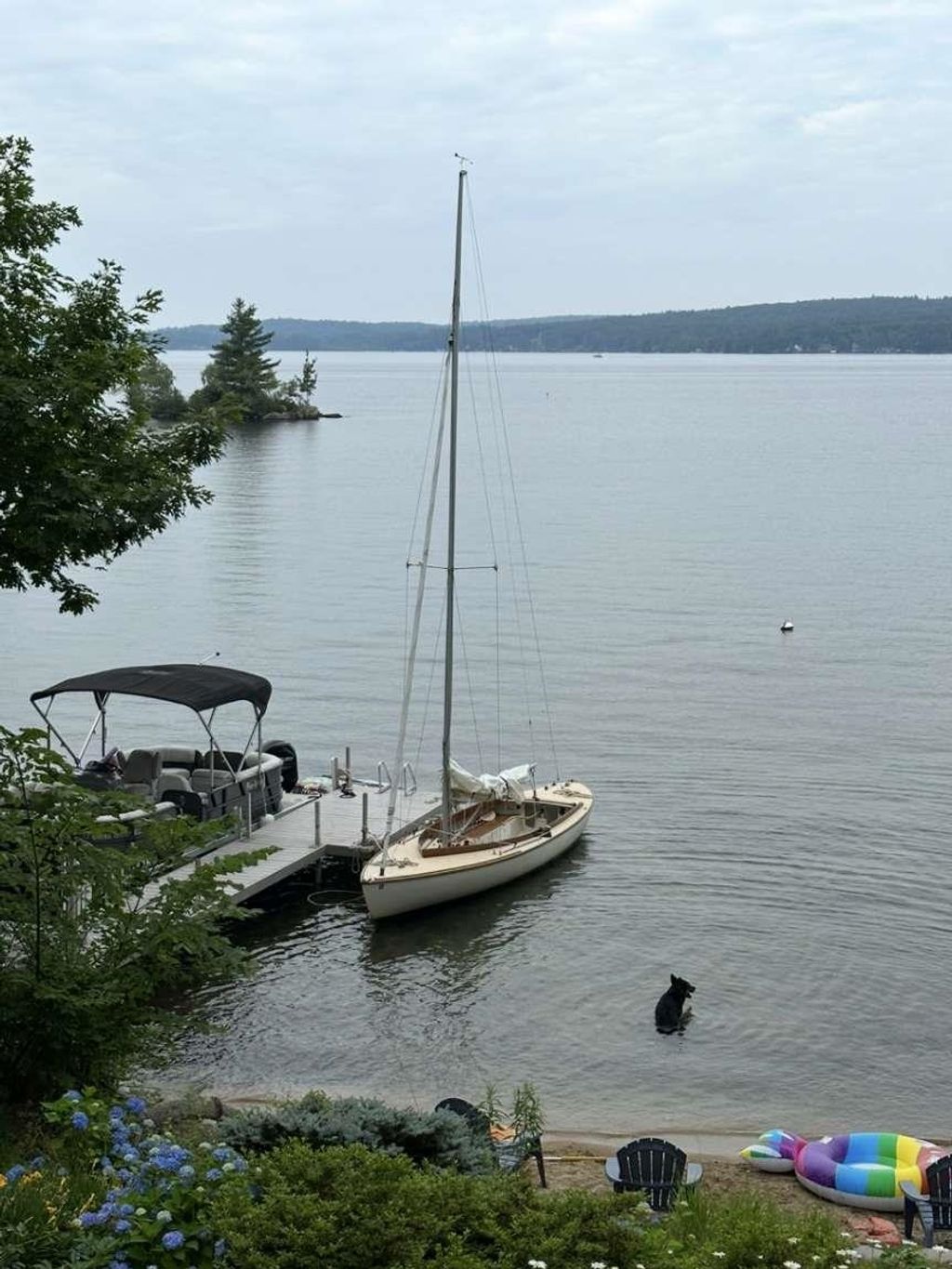 Photo of 204 Shore Drive, Laconia, NH 03246 (MLS # 5083103)