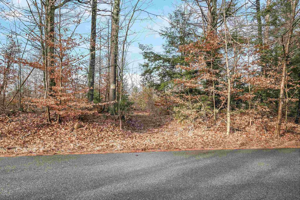 Photo of 404911 Merrill Road, Candia, NH 03034 (MLS # 4980886)