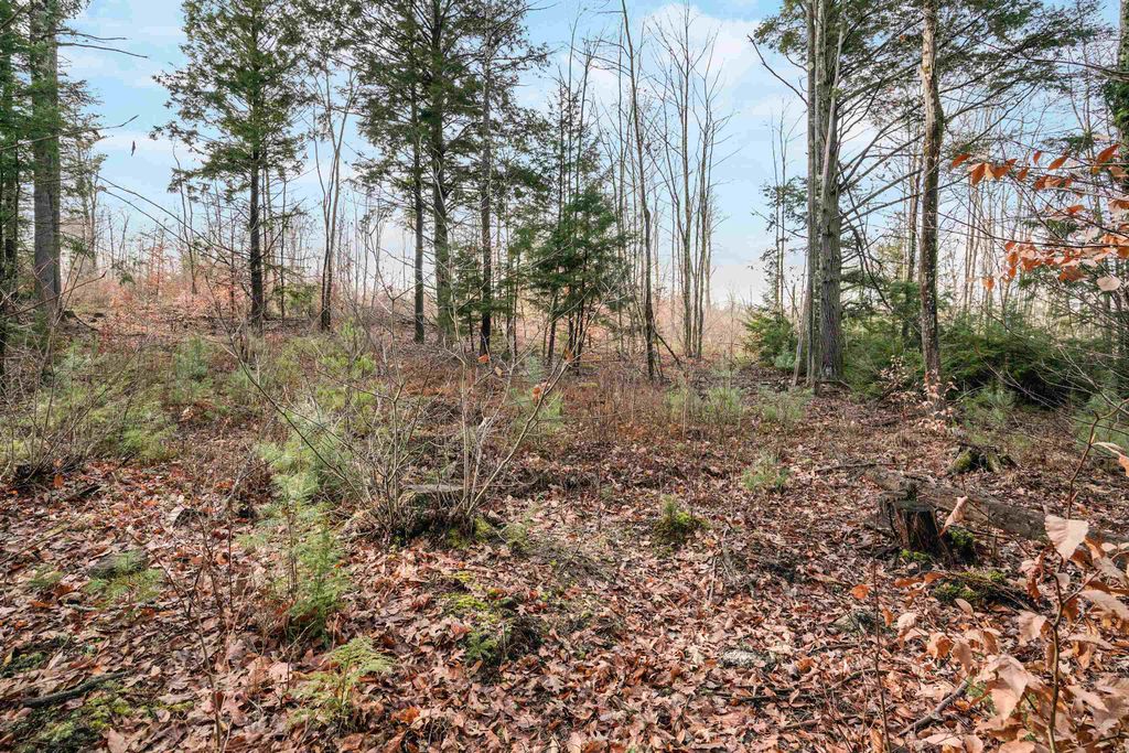 Photo of 404911 Merrill Road, Candia, NH 03034 (MLS # 4980886)