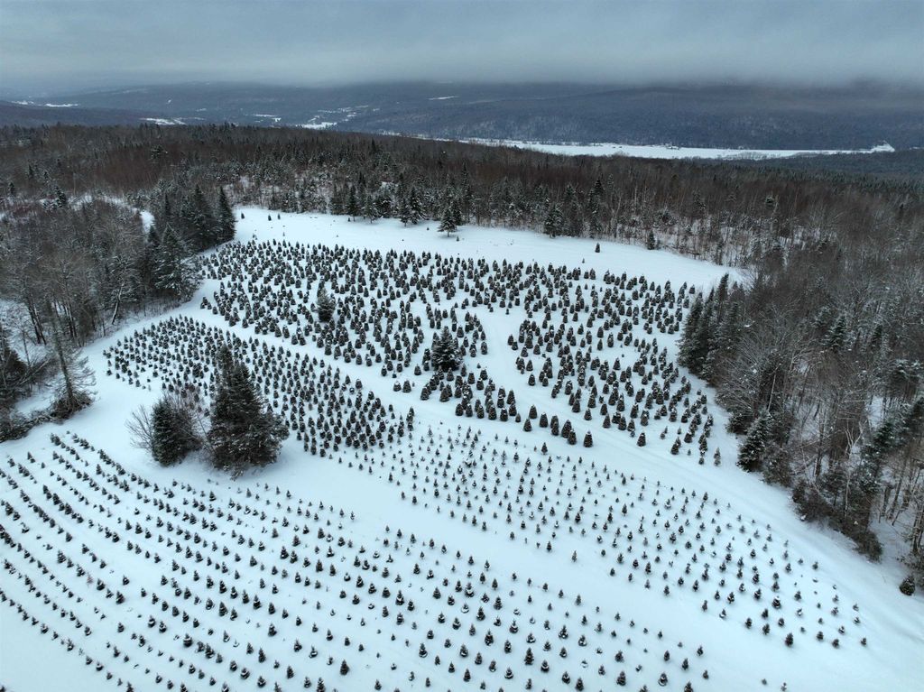 Photo of 00 Jordan Hill Road, Columbia, NH 03590 (MLS # 5075568)