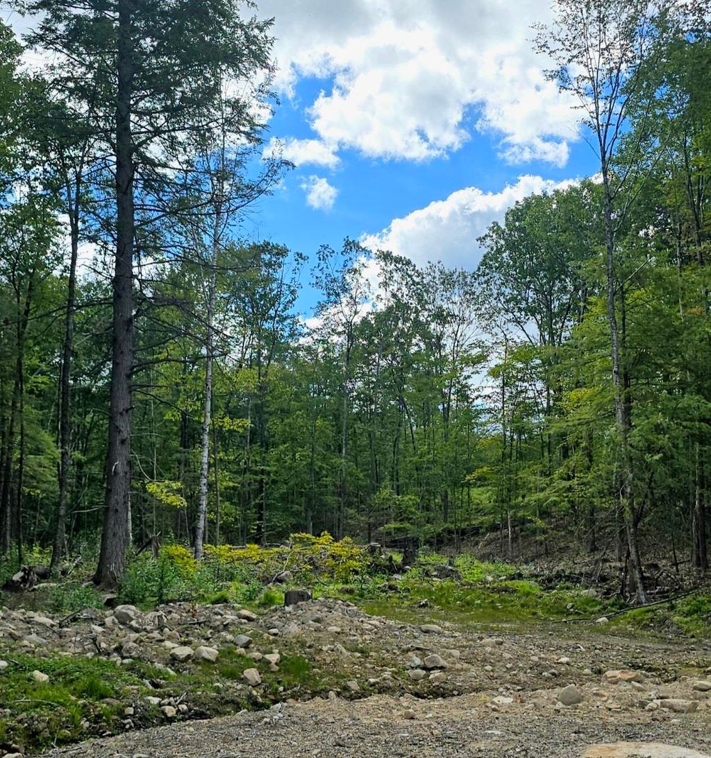 Photo of 000 Garmish Drive #143, New Durham, NH 03855 (MLS # 5065464)
