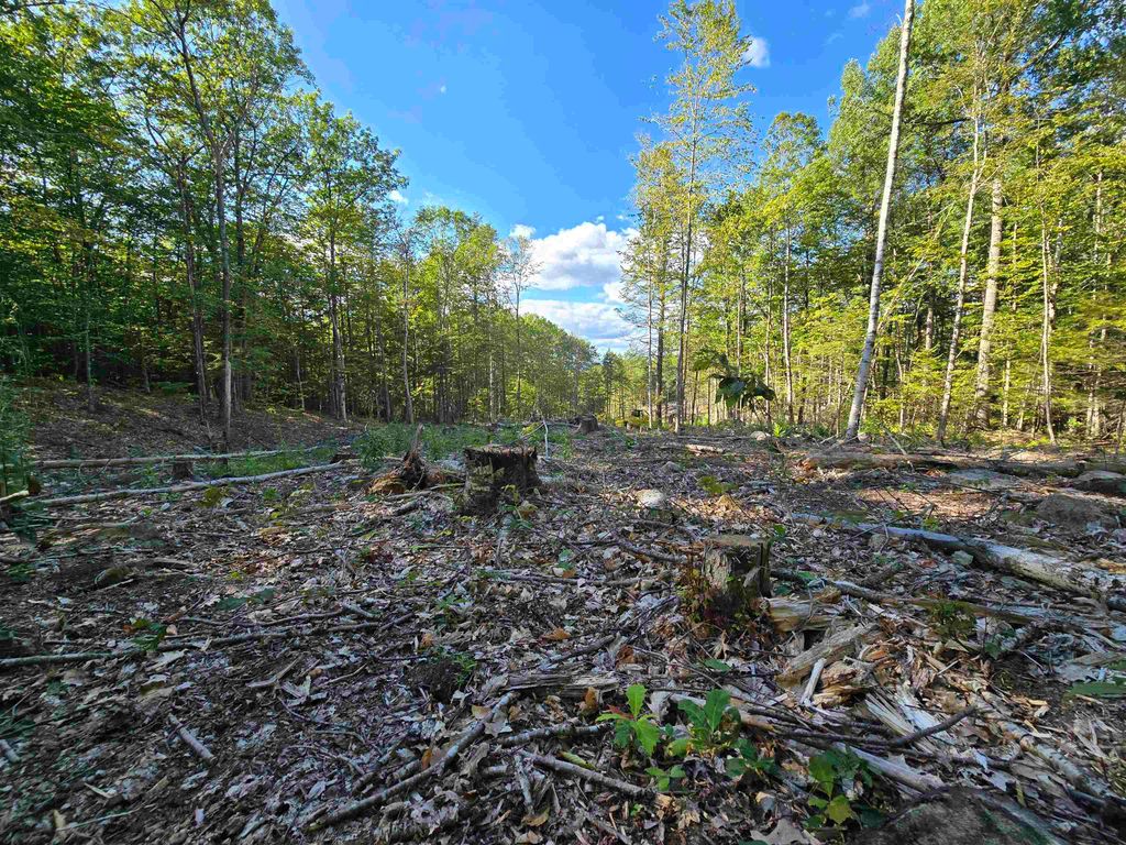 Photo of 000 Garmish Drive #143, New Durham, NH 03855 (MLS # 5065464)